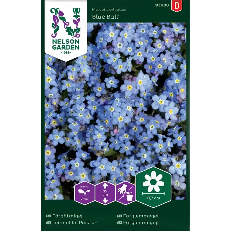 Skogsförgätmigej 'Blue Ball'