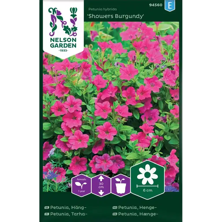 Petunia, Häng-, Showers Burgun