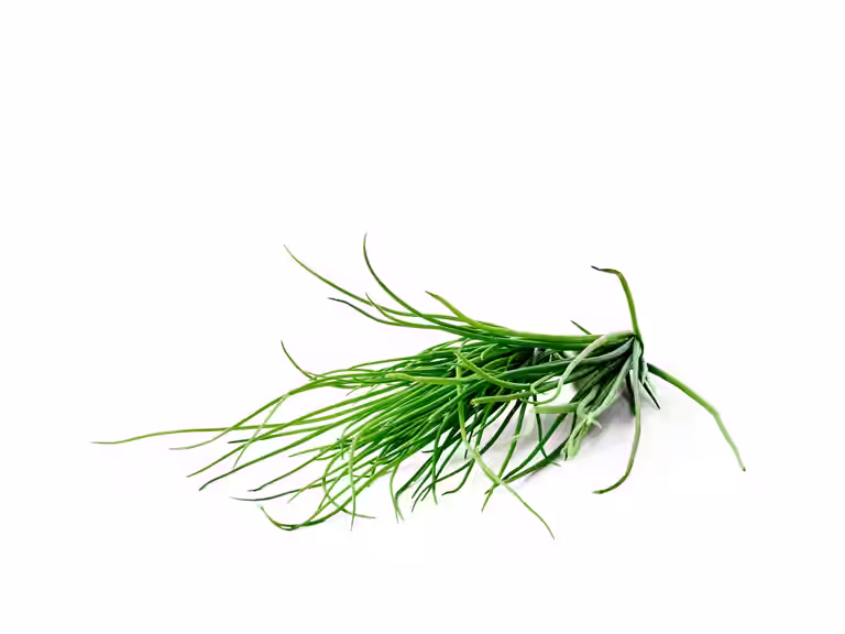 Gräslök KRAV