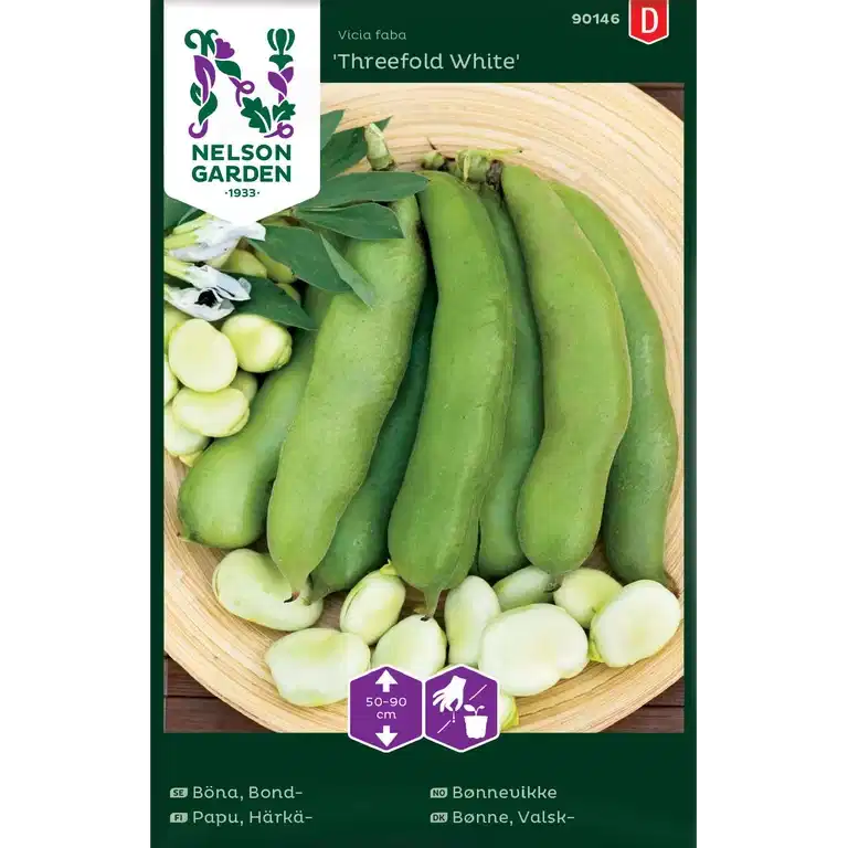 Bondböna 'Threefold White'