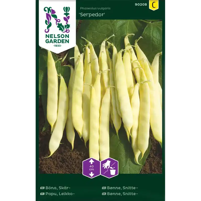 Skärböna 'Serpedor'