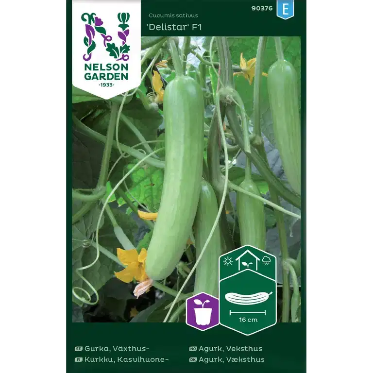 Växthusgurka 'Delistar' F1