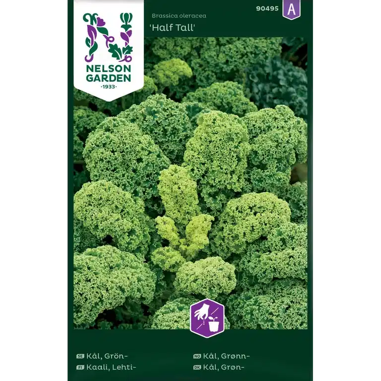 Grönkål 'Half Tall'