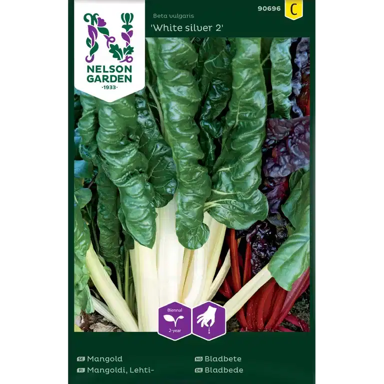 Mangold 'White silver 2'