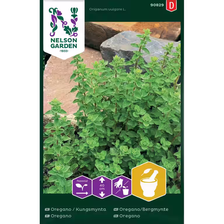 Oregano