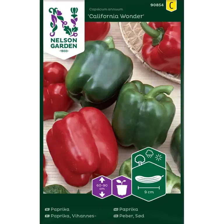 Paprika 'California Wonder'