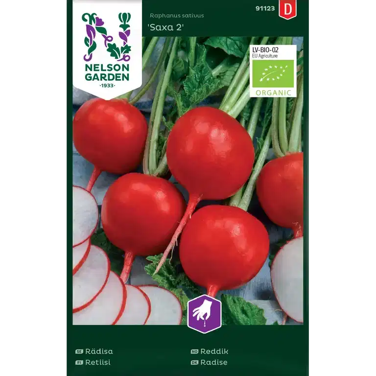 Rädisa 'Saxa 2'