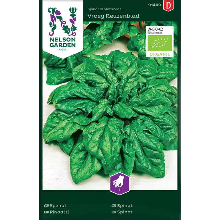 Spenat 'Vroeg Reuzenblad'