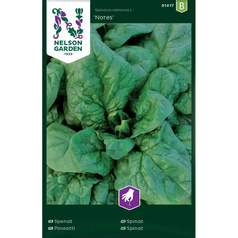 Spenat 'Nores'