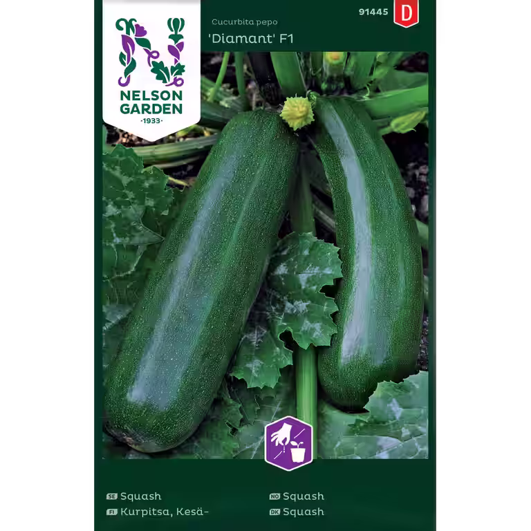 Squash 'Diamant'