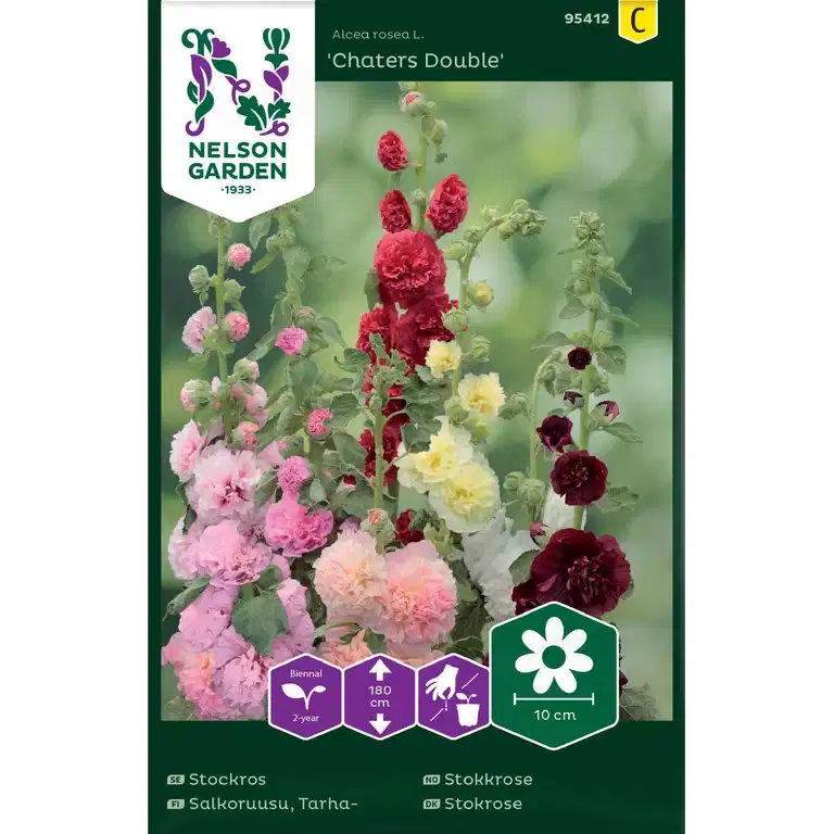 Stockros 'Chaters Double'