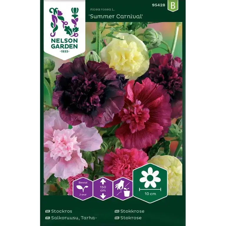 Stockros 'Summer Carnival'