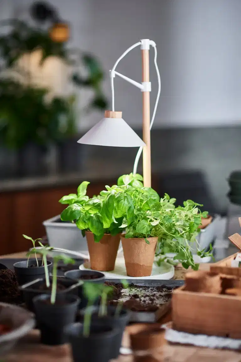 Växtbelysning med bricka Asti