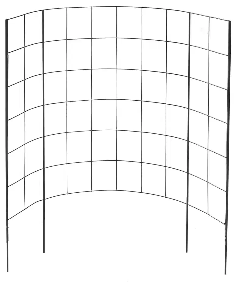 Spaljé till odlingskrage