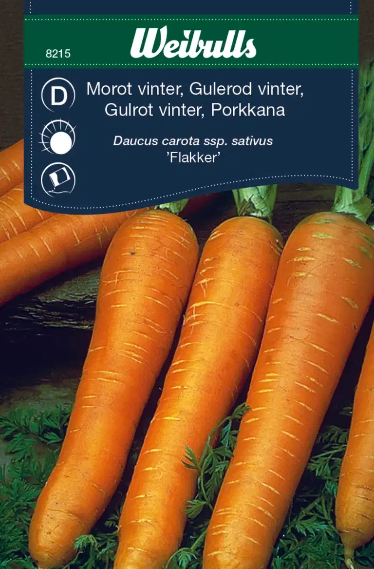 Morot 'Flakker'