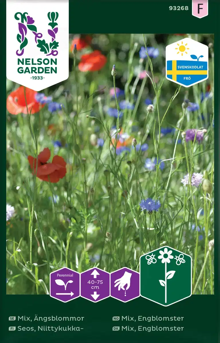 Ängsblommor mix