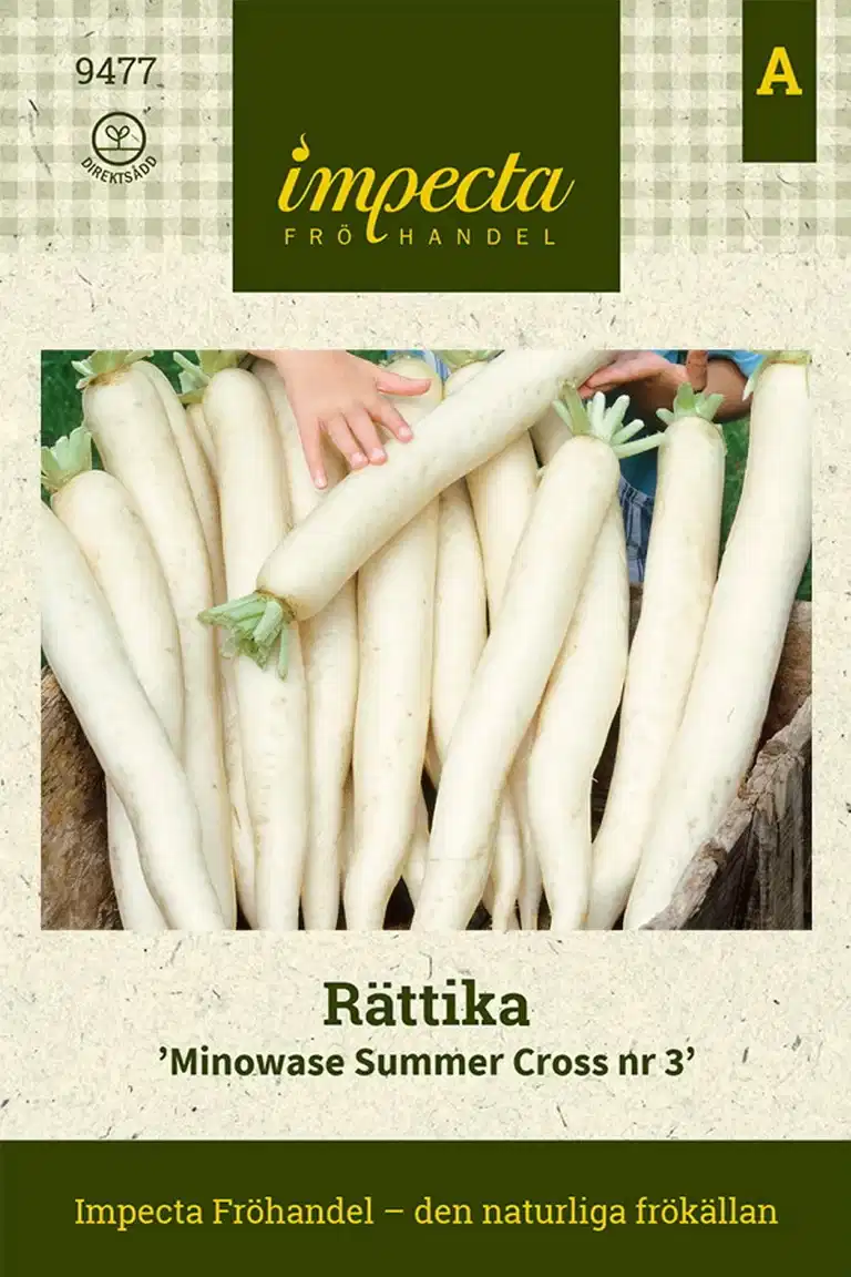 Rättika 'Minowase Summer Cross Nr 3'