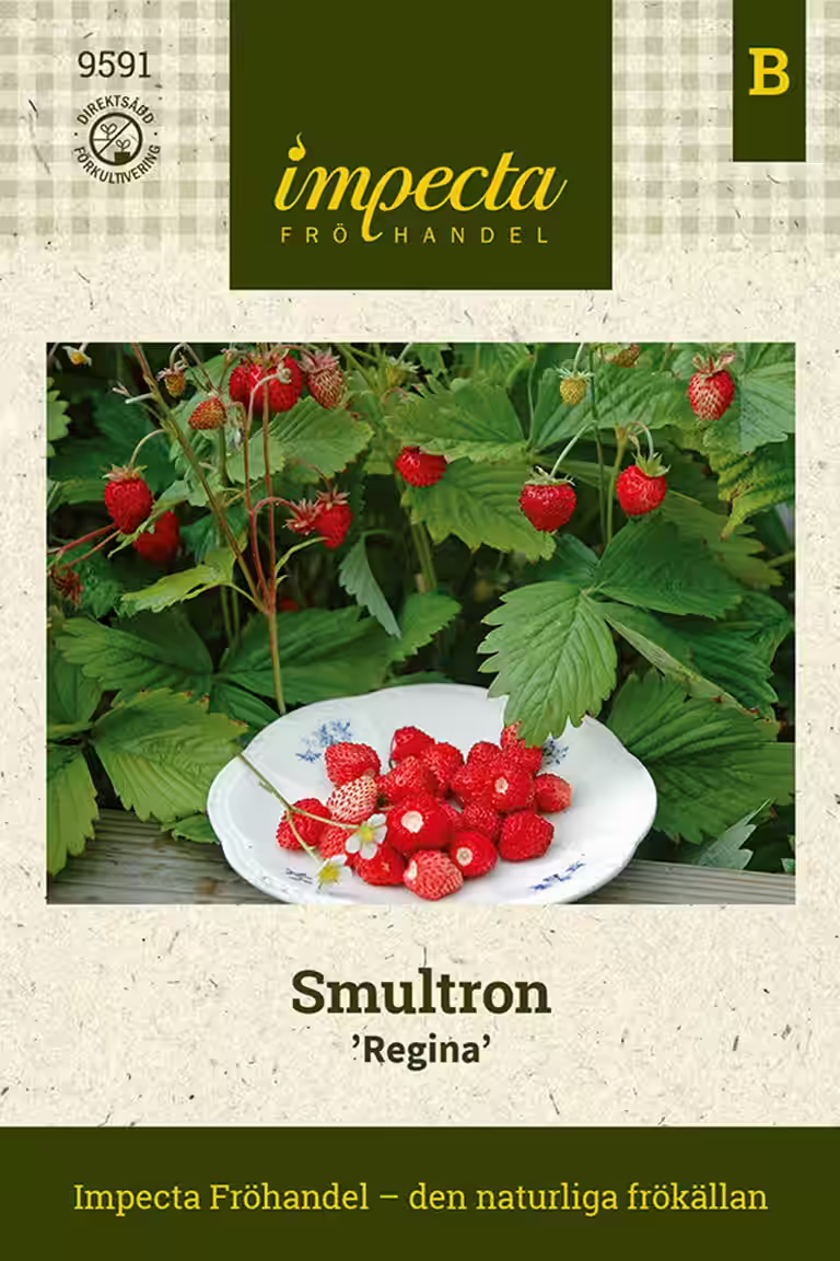 Smultron 'Regina'