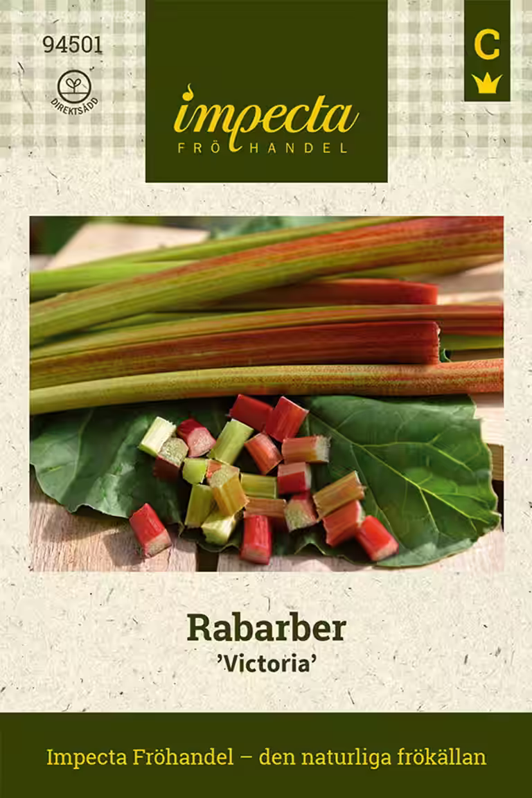 Rabarber 'Victoria'