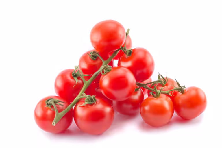 All N. Lycopersicum cherry 'Cerise' 10,5 cm