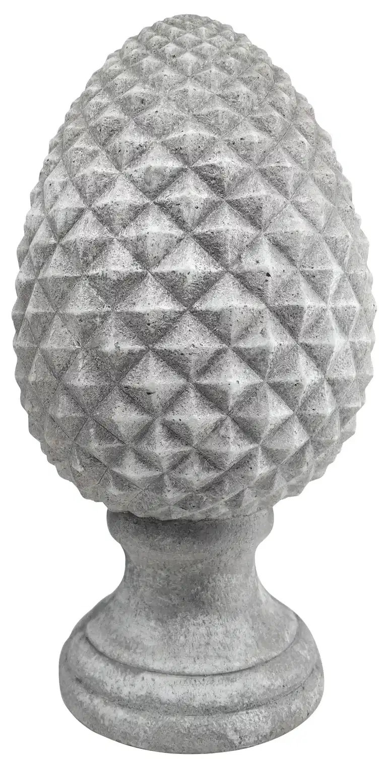Pinus pinecone H37 grey