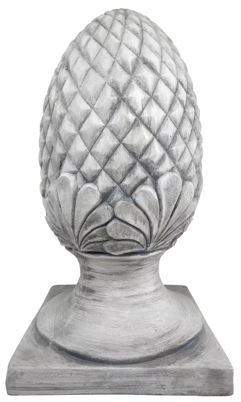 Pinecone Pinus 