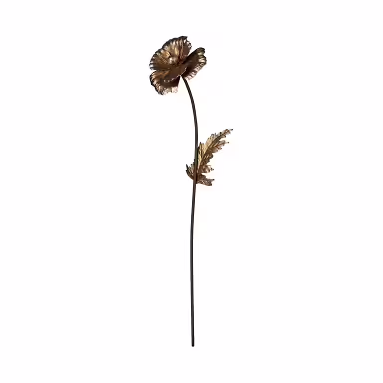 Dekorationspinne Quinn