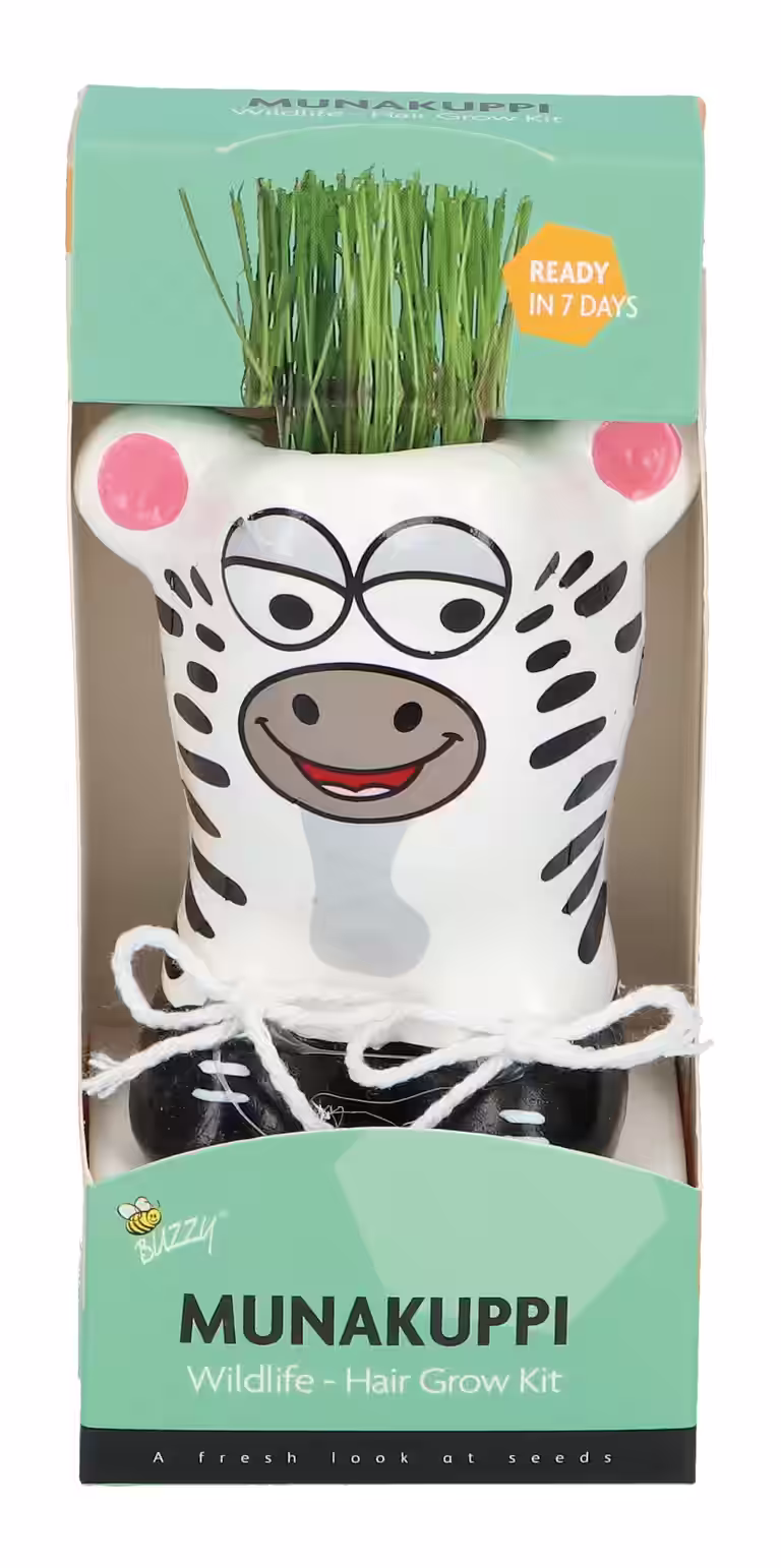 Liten kruka med prydnadsgräs Munakuppi Zebra