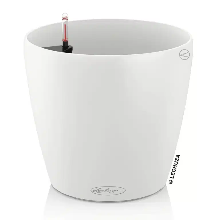Självbevattnande kruka Classico