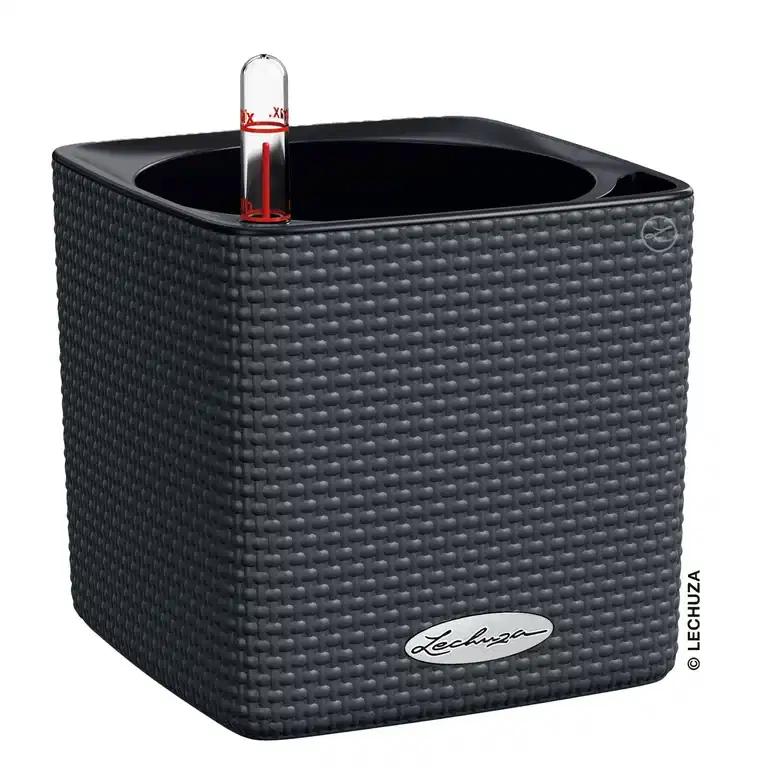 Självbevattnande kruka Cube