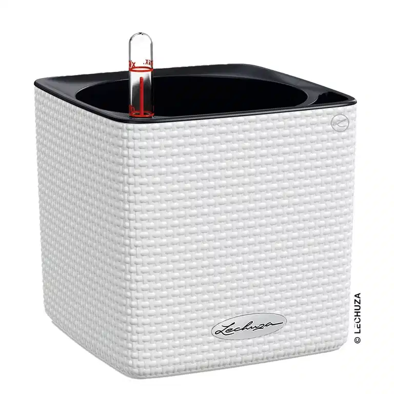 Självbevattnande kruka Cube