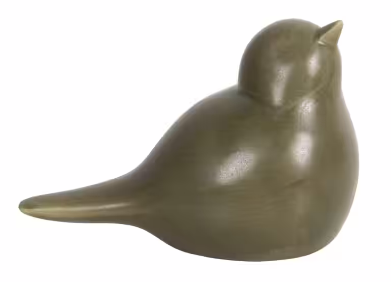 Bird Arya 