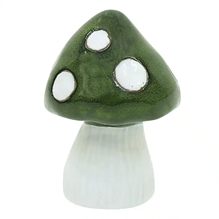 Mushroom  Sammy 