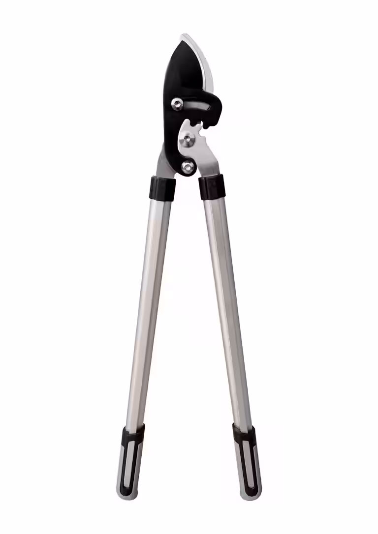 Grensax SP20