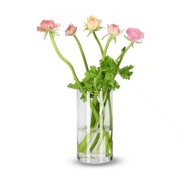 Ranonkel mix 40cm 5pk