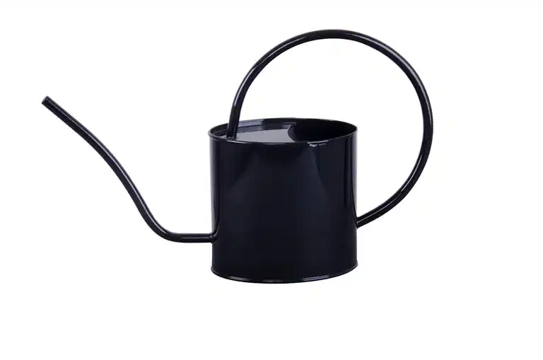 OVAL WATERING CAN 2L.