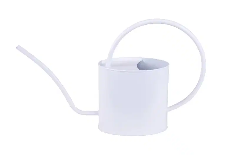 OVAL WATERING CAN 2L.