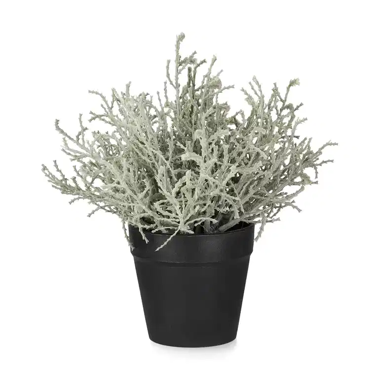 Silvergirland konstgjord