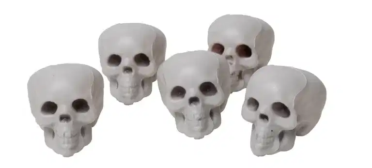 Halloweendekoration dödskallar