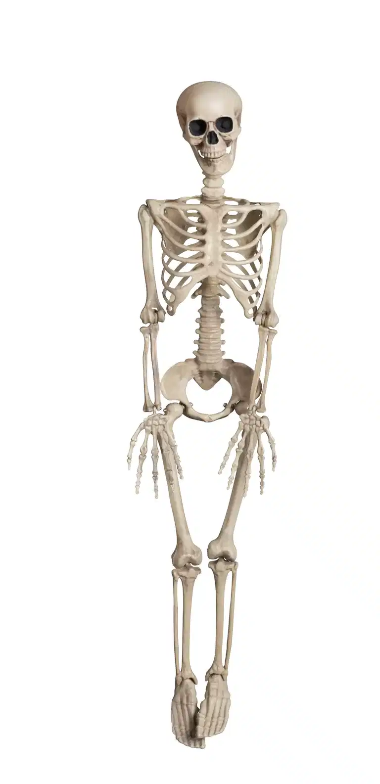 Halloweendekoration skelett