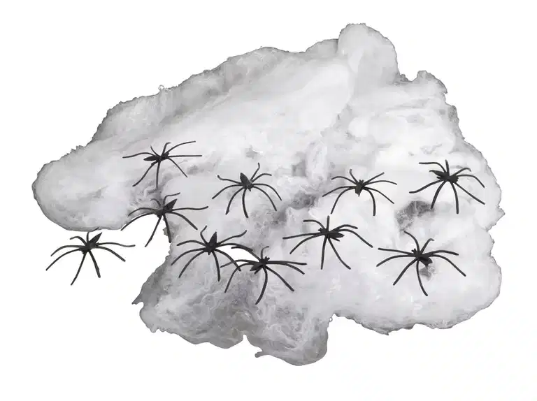 Halloweendekoration spindelväv