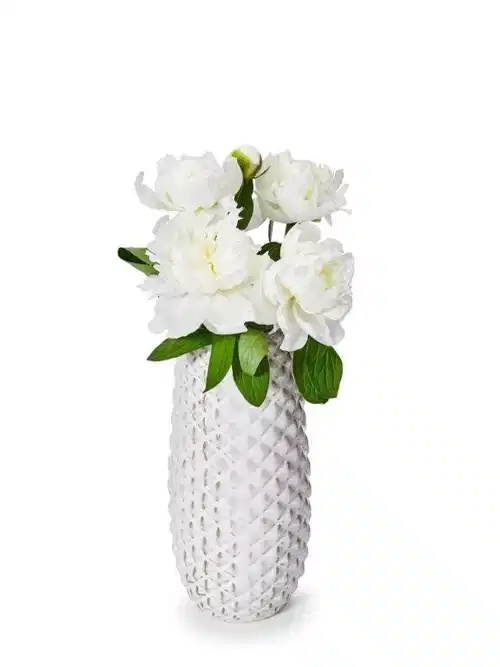 Peony white 3pk