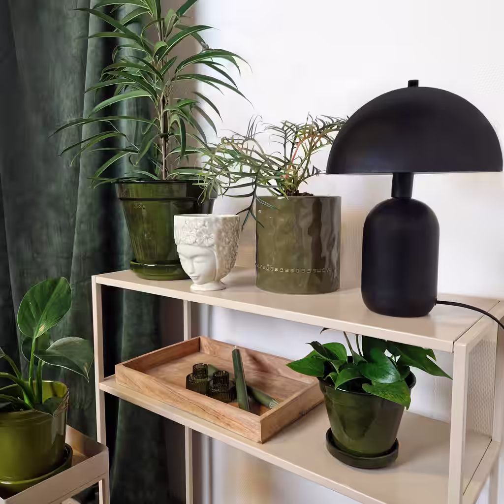 Here are the pot trends for 2025