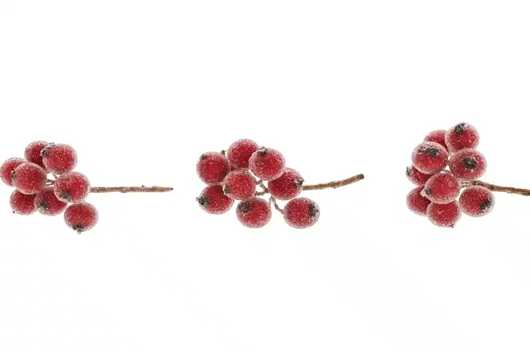 Dekorativa bär på stjälk