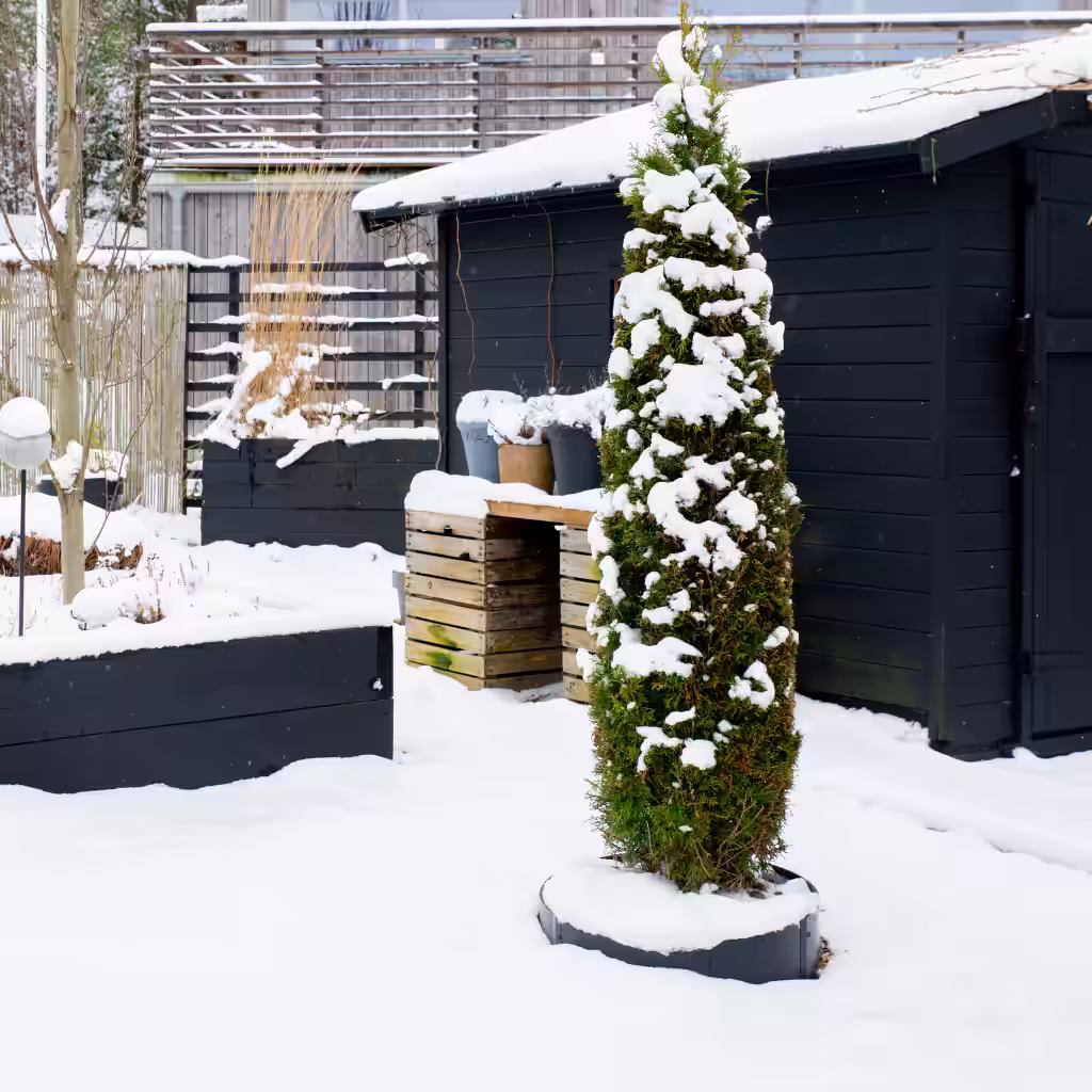 Trädgårdsbesök: Strama linjer mot mjuk snö hos Sylvia