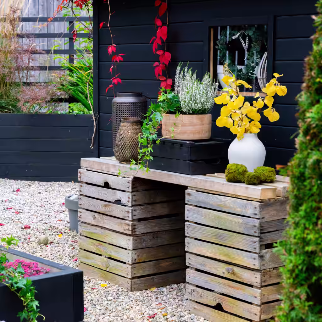 Trädgårdsbesök: Höst i Sylvias japanditrädgård