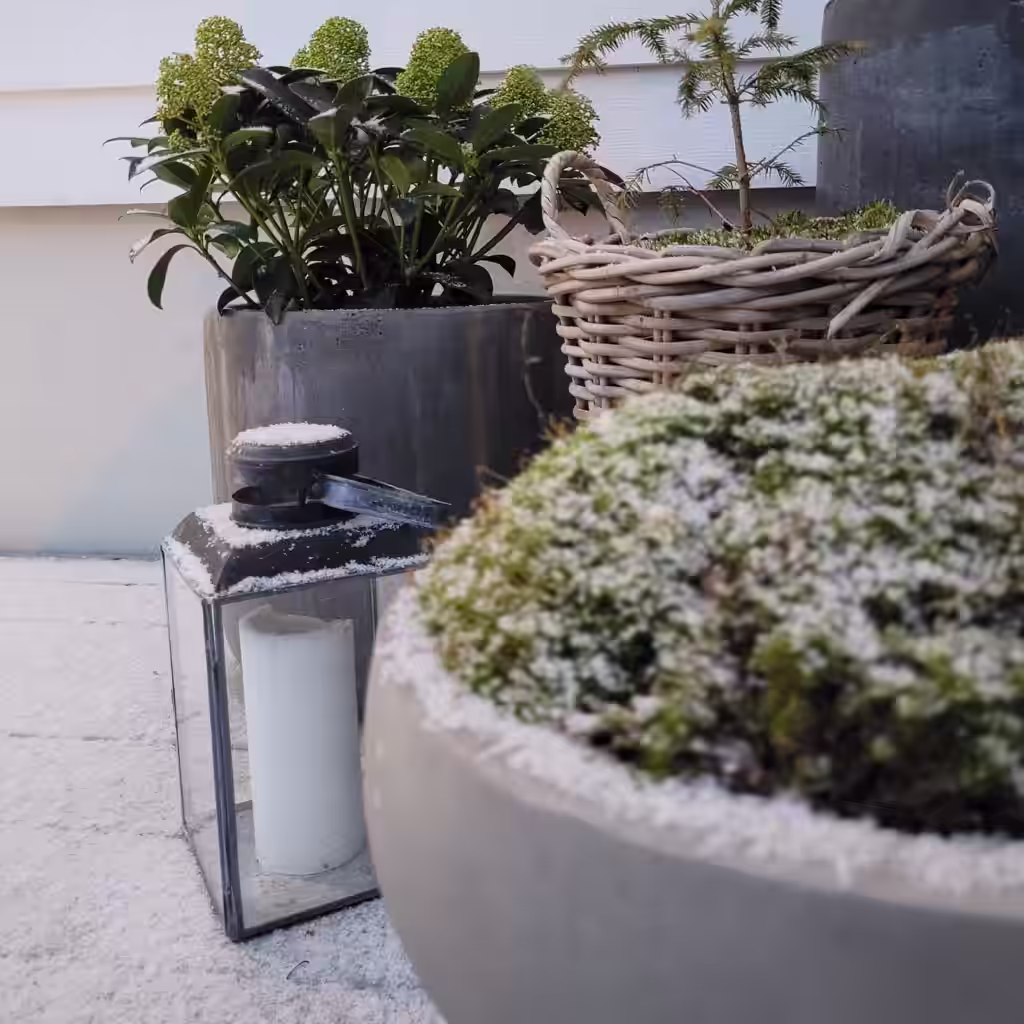 Trädgårdsbesök: Vit snö mot gröna blad hos Therese