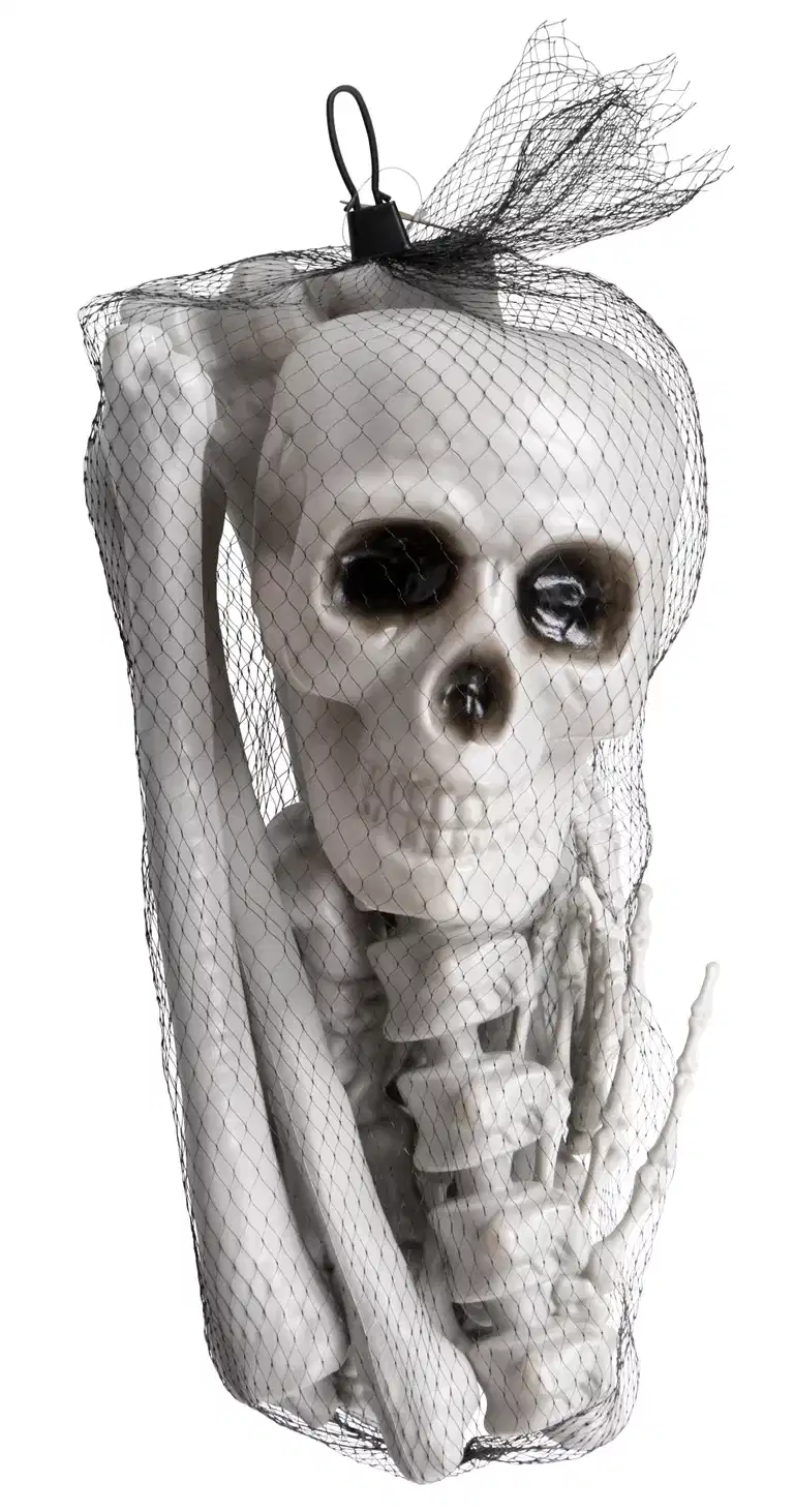 Halloween-dekoration skelettdelar