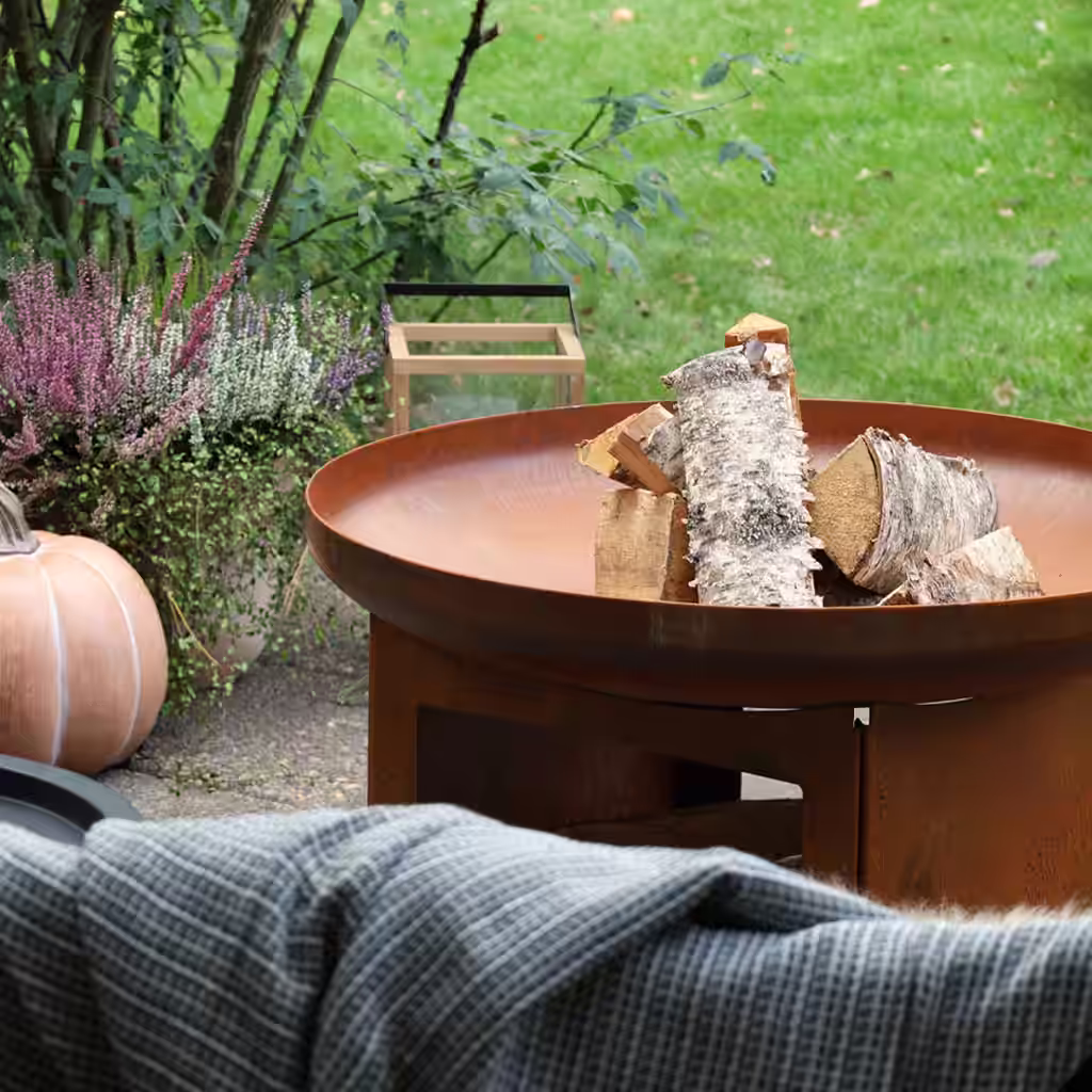 30 % off all fireplaces