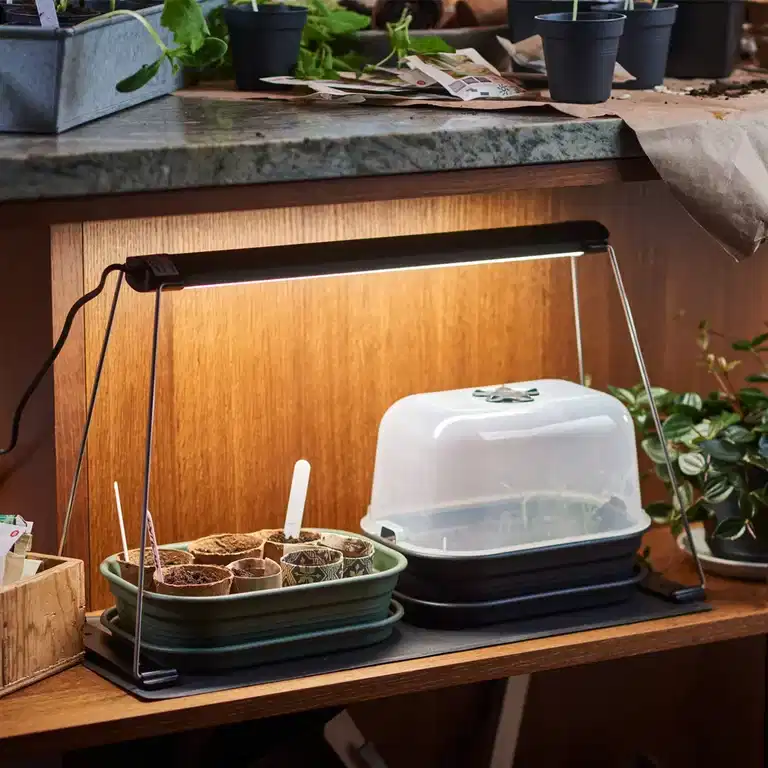 Seed Starting Starter Kit – 50% off